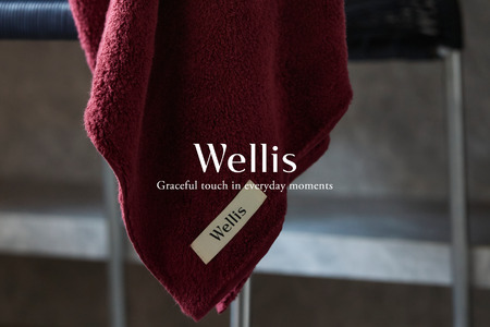 Wellis　フルセット ボルドー　ランドリーバッグ付き　（009_5136_04）