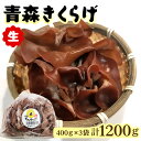 【ふるさと納税】青森きくらげ(生)400g×3袋入り｜青森 つがる産 キクラゲ 具材 食物繊維 生きくらげ きくらげ 料理 [0691]