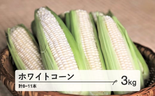 
《先行予約》2024年 山形県産 ホワイトコーン 3kg(8～11本） 生で味わう 白とうもろこし 甘い とうもろこし トウモロコシ コーン 夏 野菜 やさい ot-cnwxx3
