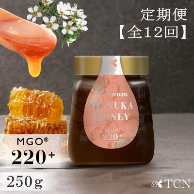 ふるさと納税 西尾市 【定期便全12回】マヌカハニー MGO220+ 250g インカナムマヌカハニー・T142