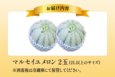 【先行予約】マルセイユメロン 2玉 (2L以上のサイズ) 糖度15度以上 減農薬にこだわった新鮮で安心な川合農園のメロン 【2026年6月中旬以降発送予定】【メロン めろん フルーツ 旬 デザート 果