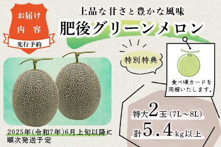 【2025年6月上旬から順次発送】 特大 肥後グリーンメロン 2玉 約5.4kg以上  ～ 果物 フルーツ グリーンメロン 先行予約 5.4kg 青肉 期間限定 数量限定 熊本県 多良木町  101-