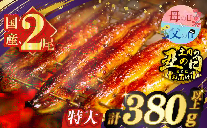 
            うなぎ蒲焼特大2尾(さんしょう・たれ付き)計380g以上 鰻 魚 魚介 加工品 国産_T026-006
          