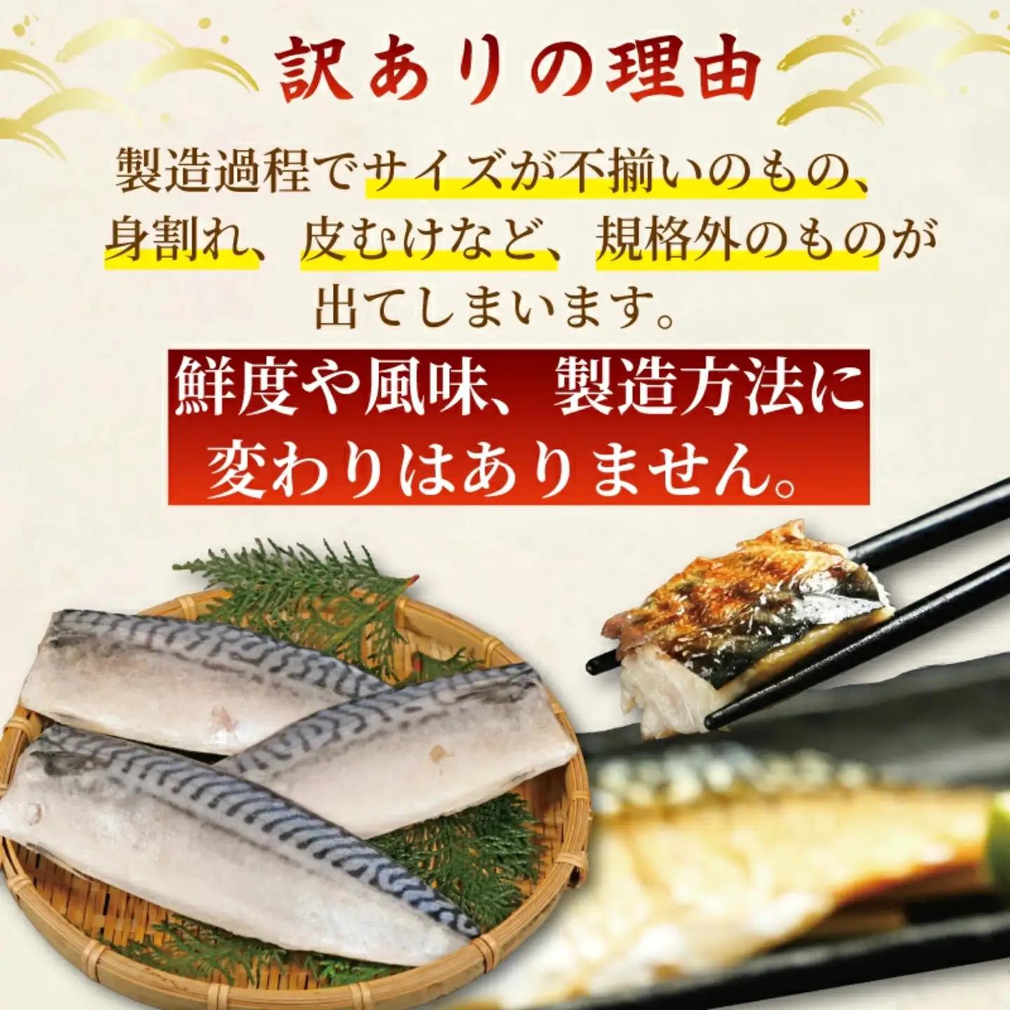 訳あり 塩鯖 1kg 鯖