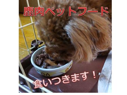 十勝エゾ鹿肉  ペットフードセット