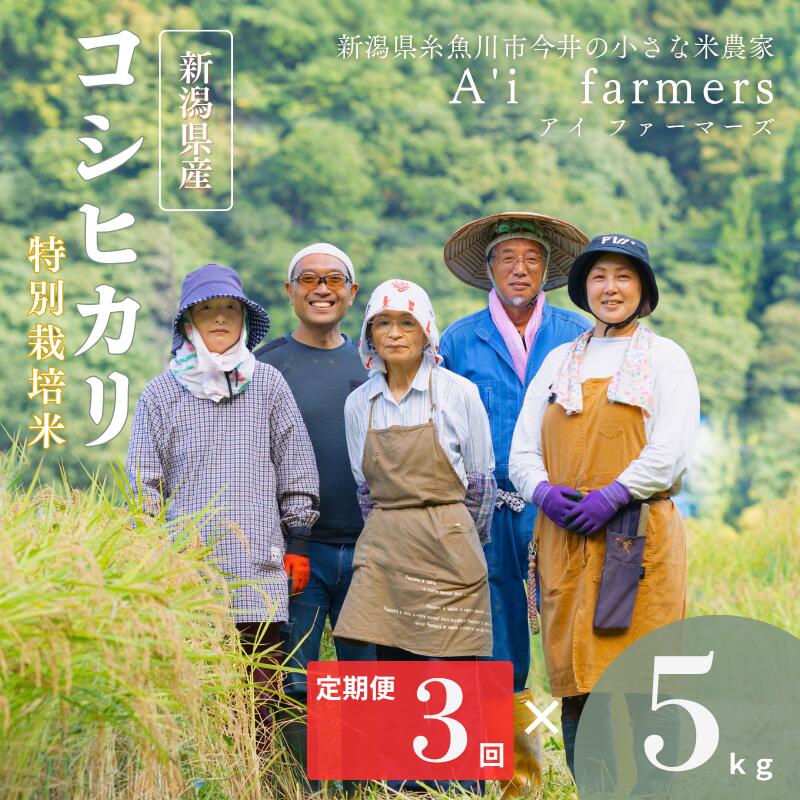 【ふるさと納税】令和7年産 コシヒカリ【3ヶ月定期便】 白米 5kg×3回 毎月お届け 計15kg 新潟県 糸魚川市産 減農薬 減化学肥料米 安心 安全 美味しいお米 新潟米 今井産 アイファーマーズ 今摺り米 精米 こしひかり おにぎり お弁当 おすすめ お米 コメ 2025