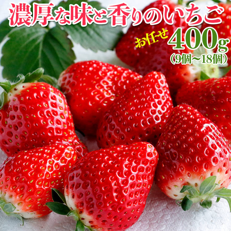 濃厚な味と香りのいちご お任せ400g（9個～18個）| 濃厚 香り とちおとめ いばらキッス やよい姫のいずれか デラックスパック 400g 朝摘み イチゴ いちご 苺 ストロベリー 果物フルーツ 茨城県 常総市