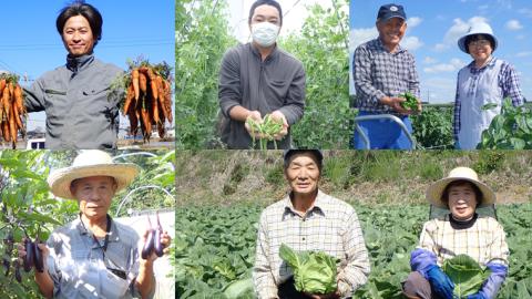 【 季節限定 秋 】 産地直送 ！ 旬 の 産直 野菜 セット 詰め合わせ BOX 新鮮 詰合せ つめあわせ 直送 茨城 茨城県 おまかせ [CN001ya]