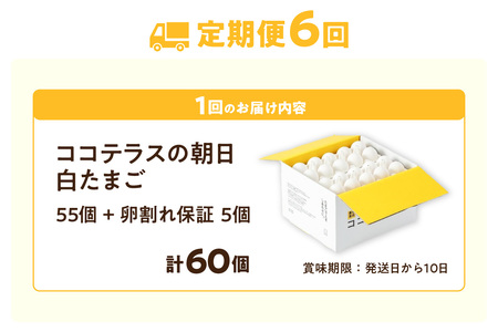 【6ヵ月定期便】ココテラスの朝日（白たまご）55個 + 5個保証（計60個）【JGAP認証】 農家直送 新鮮 卵 タマゴ 白卵 玉子 鶏卵 朝食 夕食 夜食 朝ごはん たまご焼き だし巻き卵 オムレツ