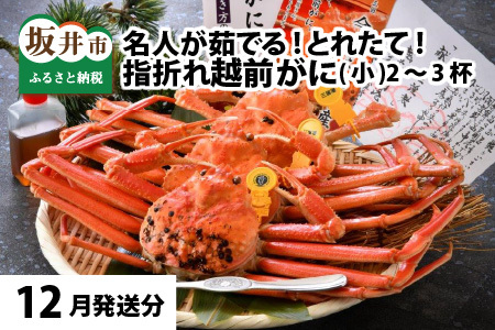 【先行予約】名人が茹でる とれたて指折れ越前がに(小) 2～3杯【12月発送分】[C-4352_12]