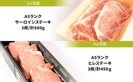 定期便 A５ランク 近江牛 満足コース 4カ月　BO04　株式会社びわこフード(近江牛専門店 万葉) 東近江