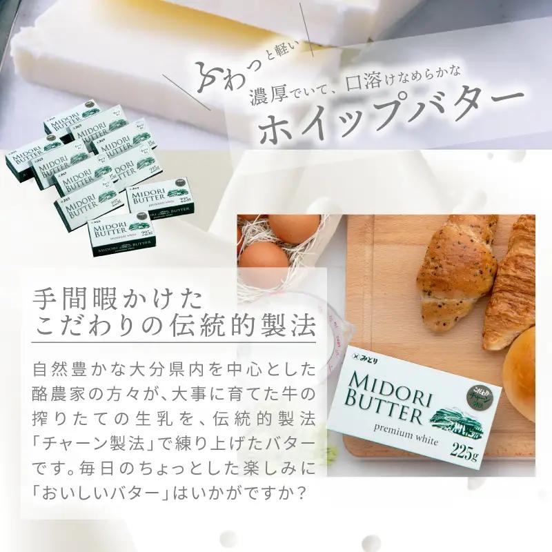 みどりバター詰め合わせ 225g×10個セット 白いバター K07015