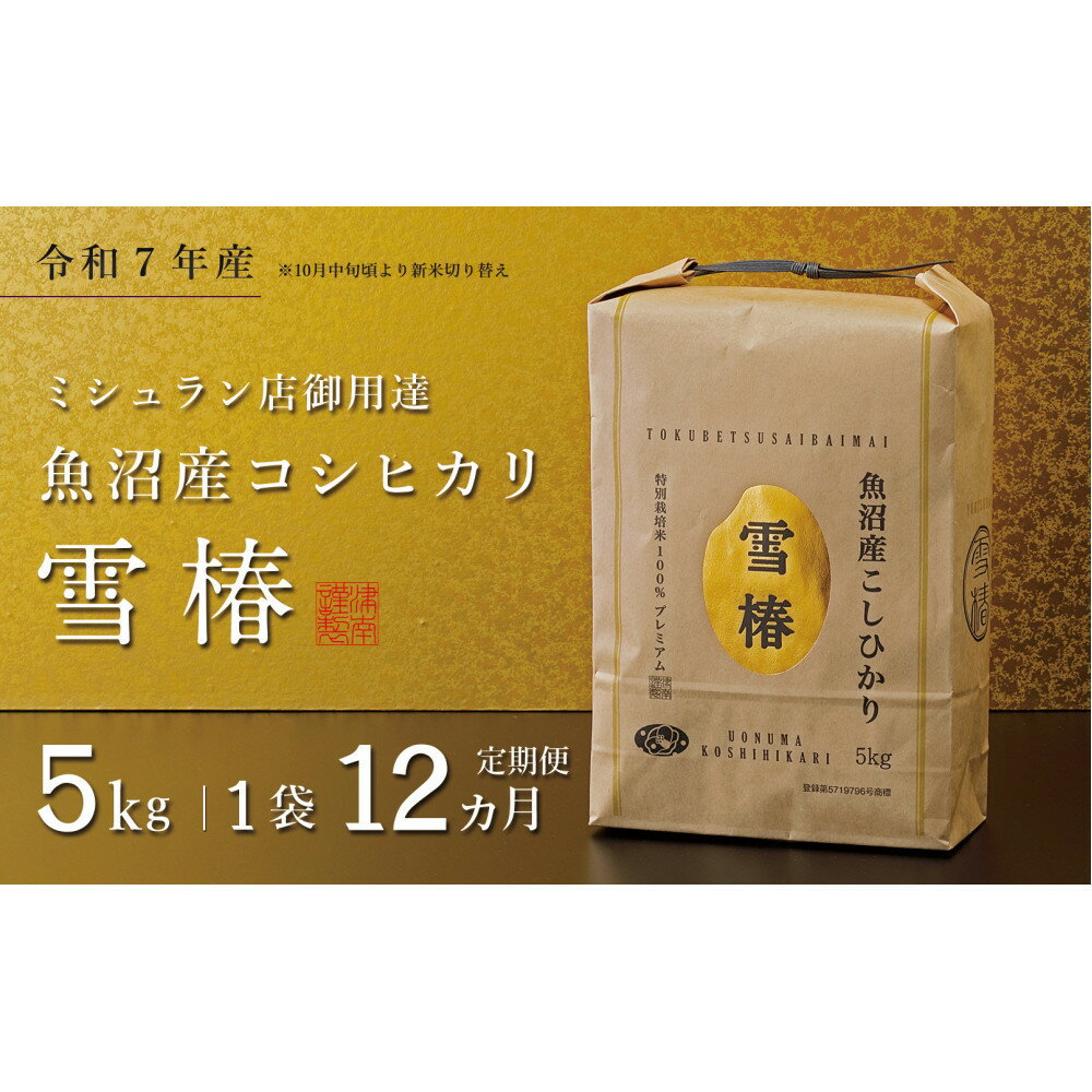 【ふるさと納税】【定期便 12ヶ月】【令和7年産】魚沼産コシヒカリ 雪椿 5kg(5kg×1袋) × 12回 特別栽培米