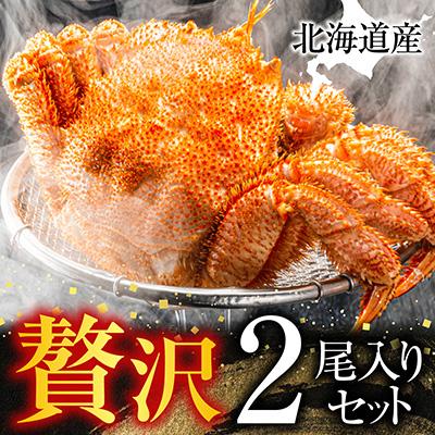 ふるさと納税 根室市 根室海鮮市場<直送>ボイル毛がに500〜600g×2尾 F-28030 |  | 01