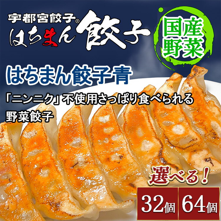 【ふるさと納税】【選べる内容量】宇都宮餃子 はちまん餃子 青 野菜餃子 ｜ 宇都宮餃子 国産野菜 グルメ 宇都宮市 野菜 餃子 ぎょうざ ギョーザ 野菜 冷凍食品 冷凍餃子 焼き餃子 水餃子