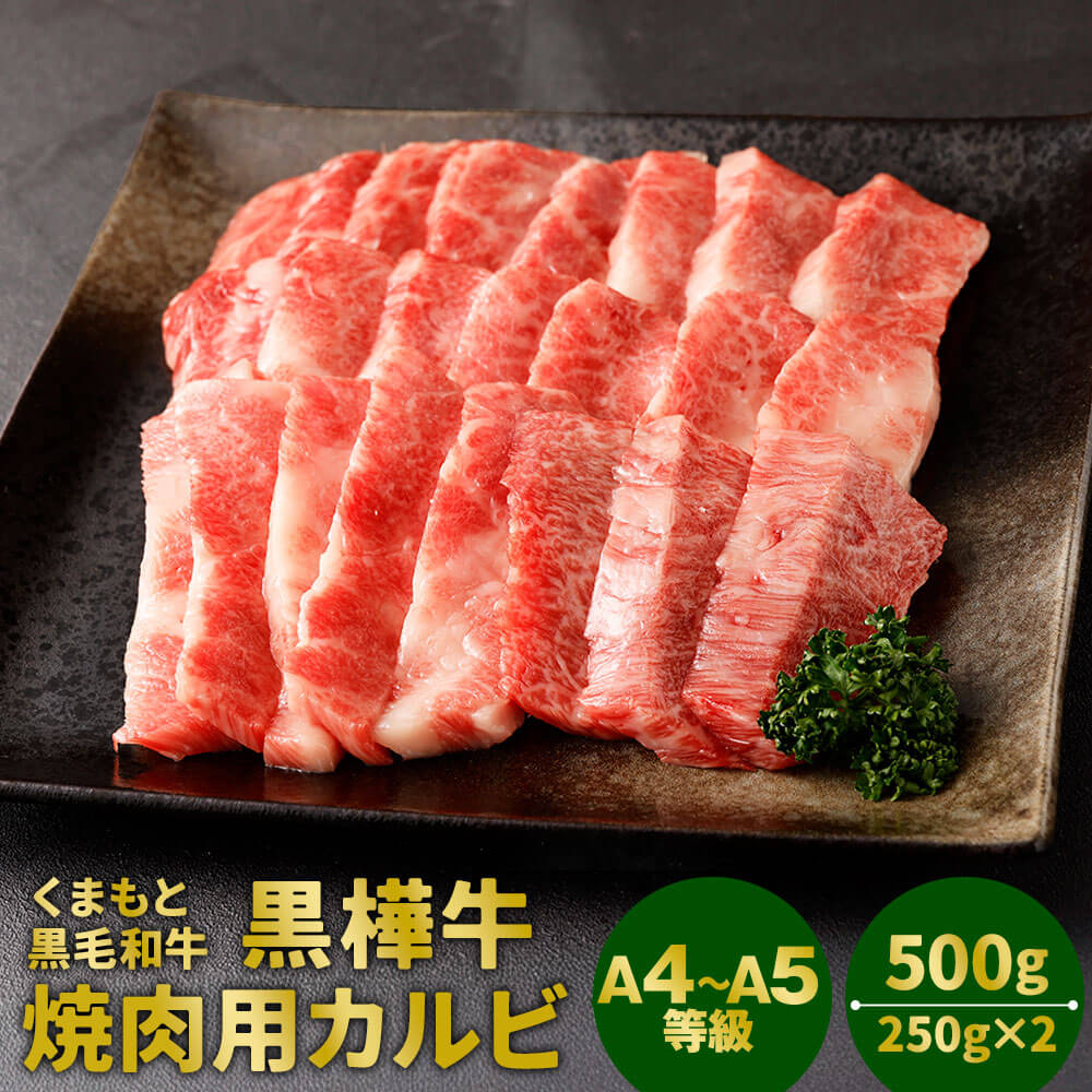 【ふるさと納税】くまもと黒毛和牛 黒樺牛 A4～A5等級 焼肉用カルビ 合計500g 250g×2 カルビ 焼き肉 和牛 お肉 牛肉 黒毛和牛 国産 九州産 熊本県産 冷凍 送料無料
