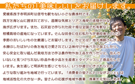 ＜《5月発送》旬をお届け！河内晩柑 約7kg＞ みかん ミカン 蜜柑 果物 柑橘類 果実 オレンジ フルーツ かわちばんかん カワチバンカン 15～20個前後 特産品 国産 明浜産 二ノ宮商事 愛媛県