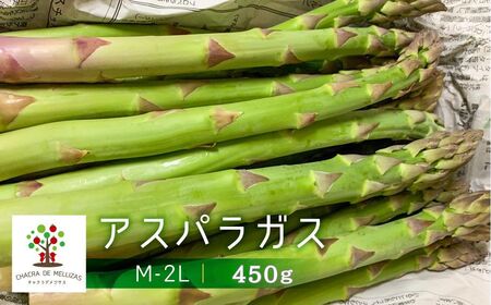 《先行予約》令和8年産 サイズ不揃い アスパラ450g  訳あり アスパラ [Q1821x_26]
