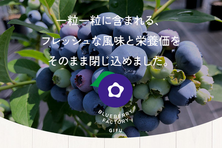 冷凍 ブルーベリー (真空パック保存) 1kg パック(500g×2) A016-012