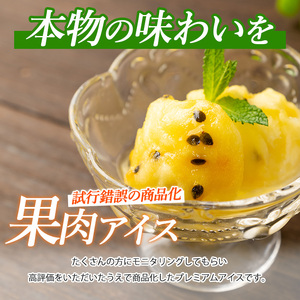 定期便 全5回 ゴロゴロ果肉入り アイス 10個入 定期便 マンゴーの森 IBZ040-002 定期便 定期便