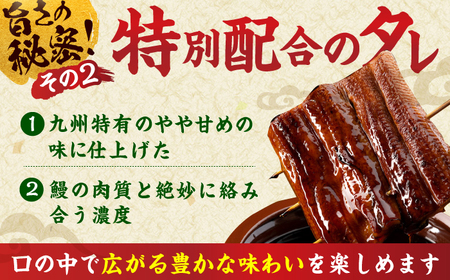 特大蒲焼（220g×2尾）魚 うなぎ ウナギ 土用の丑の日 鰻 かば焼き 蒲焼き 広川町 / イールファクトリー株式会社[AFBS005]