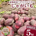 【ふるさと納税】じゃがいも 5kg デストロイヤー 旬のお野菜お届け 産地直送 野菜 旬 農家直送 季節限定 芋 いも 露地野菜 やさい サラダ 農薬 化学肥料 不使用 下関 山口