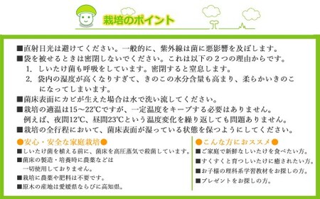 しいたけ栽培キット にょきっと 1個セット