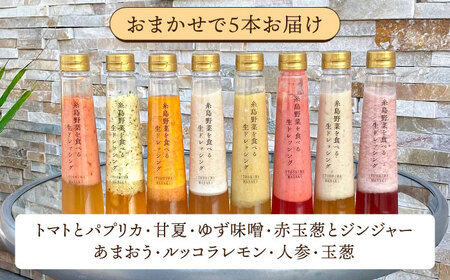 【 全6回 定期便 】 糸島 野菜 を 食べる 生 ドレッシング 5本 / コンフィチュール 4個 / バター 2個 / ピクルス 2本 《糸島》【糸島正キ】 [AQA018]