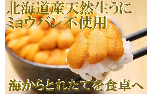 
            北海道産塩水うに100g×2パック！200g（NB150）
          