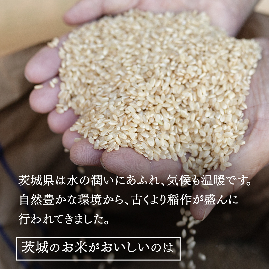 ＜ 新米 ＞ 令和7年産 茨城県産 玄米 コシヒカリ 5kg （5kg×1袋） 清米 キヨシマイ こしひかり 米 コメ こめ 単一米 限定 茨城県産 国産 美味しい お米 おこめ おコメ[EH29-N