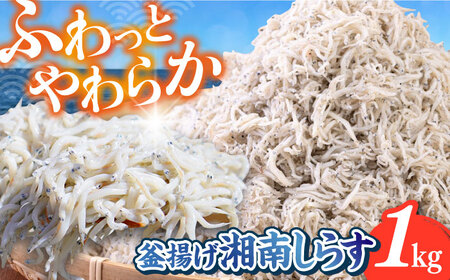 釜揚げ 湘南しらす 1kg【平敏丸】 [AKEZ003]