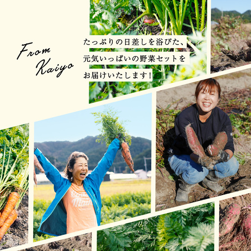 旬のお野菜詰め合わせ 季節のお野菜 お野菜いろいろ セット