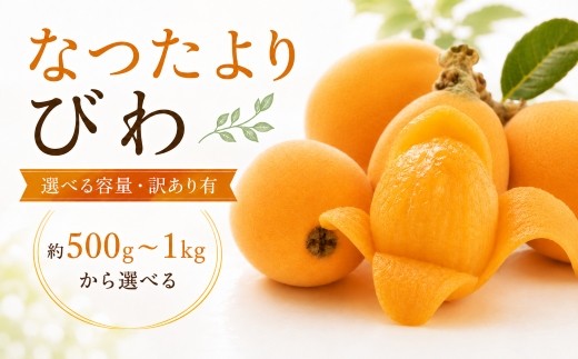 
                  【選べる容量・訳あり有】【香川県共通返礼品】なつたより びわ 約500g 約1kg 訳あり 先行予約 【2027年5月～6月頃お届け】 びわ なつたより 大玉 柔らかい 香川県共通返礼品 食品 名産 四国 香川 F5J-1031var
                