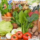 【ふるさと納税】＜せいよのうまいもんセット＞ 西予市産 愛媛県産 国産 旬 季節の野菜 やさい 詰め合わせ 5～7品目 お楽しみ 特産品 百姓百品株式会社 愛媛県 西予市 【冷蔵】『1か月以内に順次出荷予定』