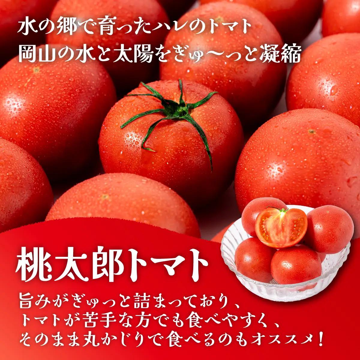 【先行予約】桃太郎トマト　3.5kg～4kg　2L(20玉)～L(24玉)