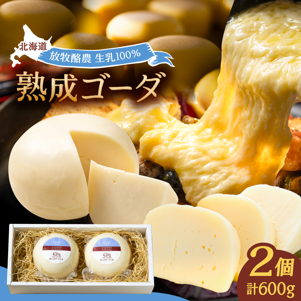 北海道 ゴーダチーズ 300g×2個《足寄町》【合同会社あしょろチーズ工房】 北海道産 十勝チーズ セミハードチーズ ゴーダ 乳製品 生乳 加工品 おつまみ もちもち 冷蔵 十勝 あしょろ [BEAU001]