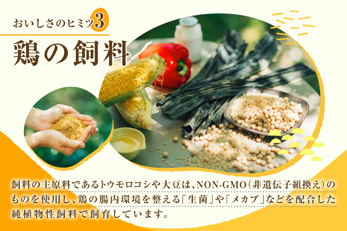 【12か月定期便】放し飼い米たまご55個+5個保証（計60個）