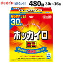 【ふるさと納税】ホッカイロ 貼らないミニ 30P×16個（計480個）※着日指定不可 ※離島への配送不可| カイロ 480枚 ミニサイズ 貼らない 使い捨て 防寒 寒さ対策 冷房冷え 冷え対策 スポーツ観戦 防災 通勤 通学 腰 背中 ご家庭用 ギフト 贈答 贈り物 プレゼント お歳暮_DJ04