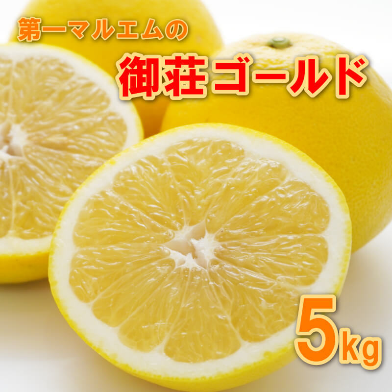 【ふるさと納税】 御荘ゴールド 5kg 8000円 みかん mikan 蜜柑 ミカン 河内晩柑 かわちばんかん 愛南ゴールド 産地直送 国産 農家直送 期間限定 数量限定 特産品 ゼリー ジュース アイス 冷凍 みかん 等に 人気 甘い フルーツ 果物 柑橘 おいしい 第一マルエム 愛南町 愛媛県