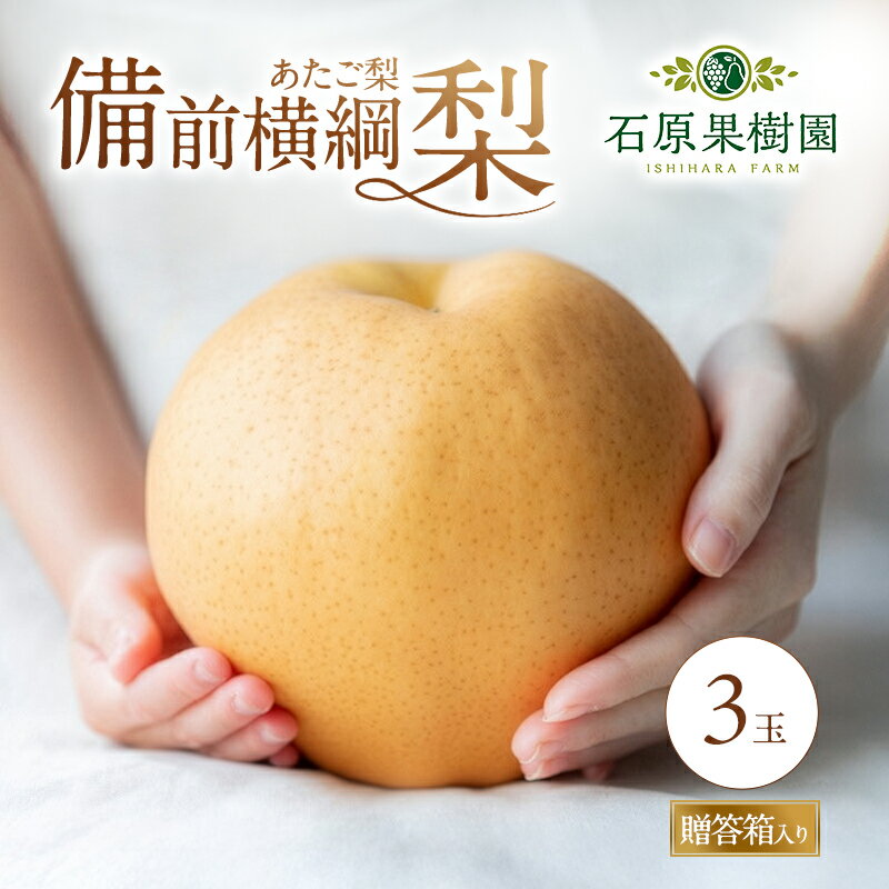 【ふるさと納税】梨 2026年 備前横綱梨（あたご梨）3玉（1玉1～1.4kg）贈答箱【11月下旬～12月中旬頃発送】 ナシ なし 岡山県産 国産 フルーツ 果物 ギフト 石原果樹園 繊細な味 ジャンボ梨 　お届け：2026年11月15日～2026年12月20日