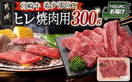 
                  宮崎牛ヒレ焼肉用300g≪みやこんじょ快速便≫_17-89-024-300g-R_(都城市) 宮崎県産宮崎牛 ヒレ焼肉用 焼肉用カット ヒレ肉 冷凍配送
                