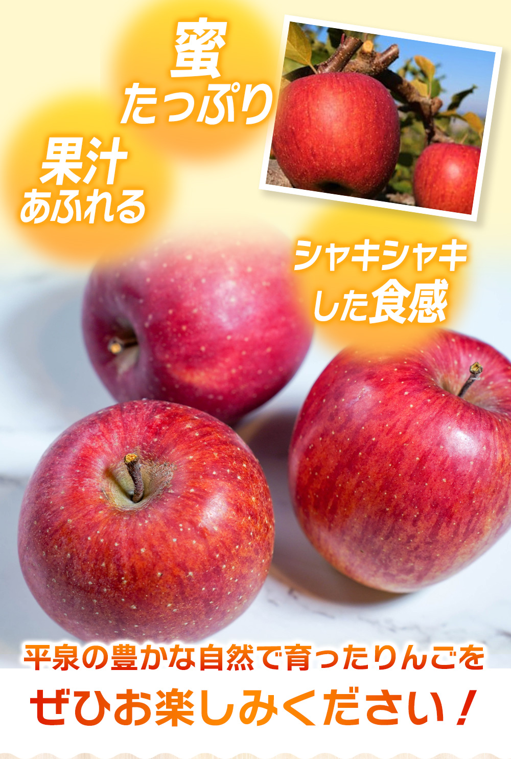 【令和6年度分予約受付】大文字りんご園 サンふじ 約3kg (7～10玉) 【2024年12月上旬より順次発送】/ 樹上完熟 りんご リンゴ 林檎 果物 くだもの フルーツ 甘い 旬 産地直送 予約 