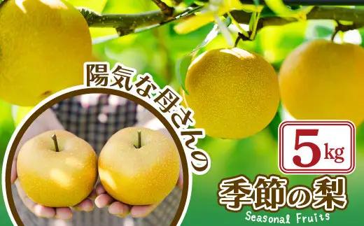 【先行予約】数量限定・期間限定【陽気な母さんの店】Ｒ8年産「旬の梨」又は「季節の梨」（5kg）80P3405【陽気な母さんの店 】