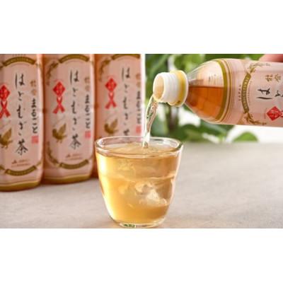 ふるさと納税 羽咋市 【毎月定期便】能登のはとむぎ茶　500ml×24本全3回 |  | 02