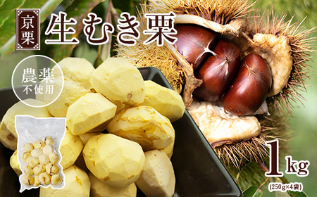 《11月中旬以降発送》京栗 生むき栗 冷凍 1kg（250g×4袋） / 栗 フルーツ 国産 綾部市 / エル・ファーム大槻［BSAR001］