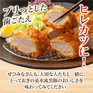 【厳選ブランド黒豚】”黒豚からいもどん”ヒレ 500g（国産 豚肉 小分け 黒豚 ヒレ ステーキ とんかつ ヒレカツ 希少部位 宮崎 小林市 人気 冷凍 ヒレ 牛ヒレ肉 ヒレ 牛ヒレ肉 ヒレ )