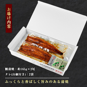 うなぎ 鹿児島県産 うなぎ 蒲焼 2尾 約330g IB022-001