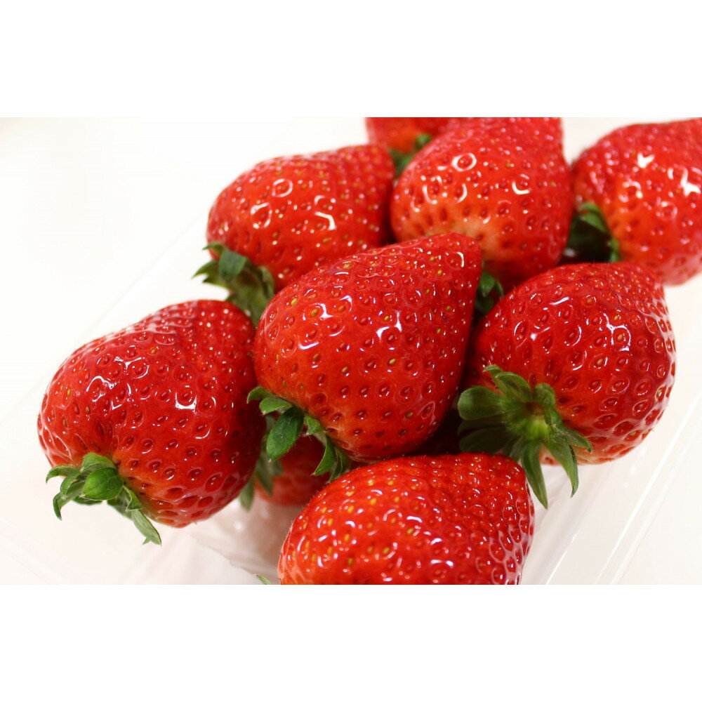 【ふるさと納税】【2026年1月上旬～3月下旬発送予定】栃木名物栃木市の「とちあいか」280g×2パック【フルーツ 果物 くだもの 食品 人気 おすすめ 】