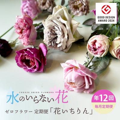 ふるさと納税 酒田市 【毎月定期便】水のいらない花 ゼロフラワー定期便「花いちりん」全12回