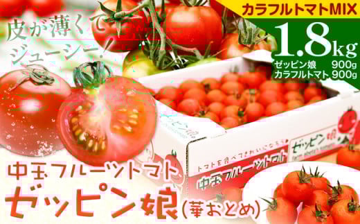 中玉フルーツトマト ゼッピン娘 900g カラフルトマト 900g 計1.8kg《10月中旬～5月末頃出荷》 希少な品種 華おとめ 甘い 野菜 結城市産 ゼッピン娘 華おとめ 中玉品種 皮が薄い 薄皮 サラダ 前菜 食材 料理
